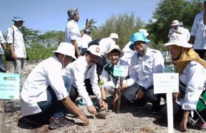Forum Perencanaan PTKIN se-Indonesia Tanam Mangrove di Lampung Selatan