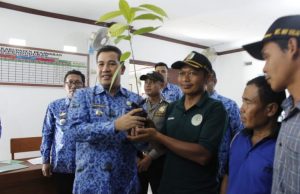 Bupati Pesawaran Serahkan Hibah Bibit Cacao PTPN VII Wabe Ke Petani 4 Kecamatan