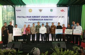 Gubernur Ridho Sambut Baik KUR Peternakan dan Optimistis Lampung Bakal Jadi Lumbung Pangan Dunia