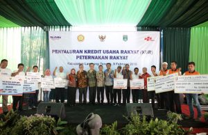 Gubernur Ridho Sambut KUR Peternakan
