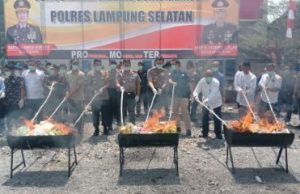 Sebanyak 102 Shabu, 11,748 butir dan 50,9 Kg Dimusnahkan