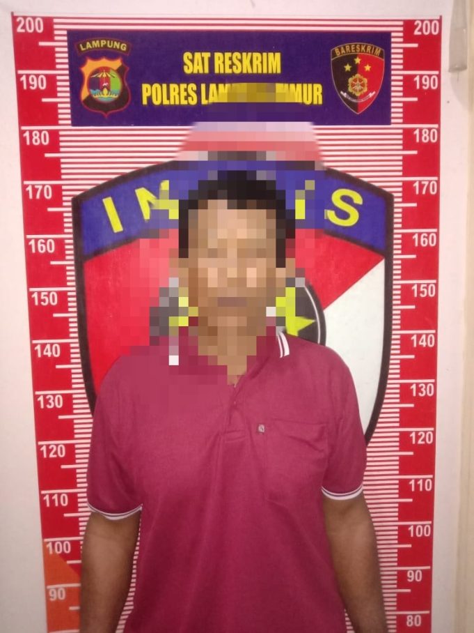 Seorang DPO Perambahan Hutan Lindung Way Kambas, Berhasil Ditangkap Polres Lamtim