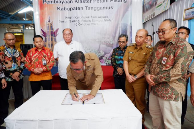 Dorong Pembiayaan Komoditas Pisang Mas, OJK dan TPAKD Provinsi Lampung Gelar Business Matching Pembiayaan Klaster Petani Pisang di Kabupaten Tanggamus