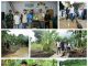 Bupati Dendi Ramadhona Tinjau Warga Terdampak Banjir di Desa Sukajaya Lempasing Teluk Pandan