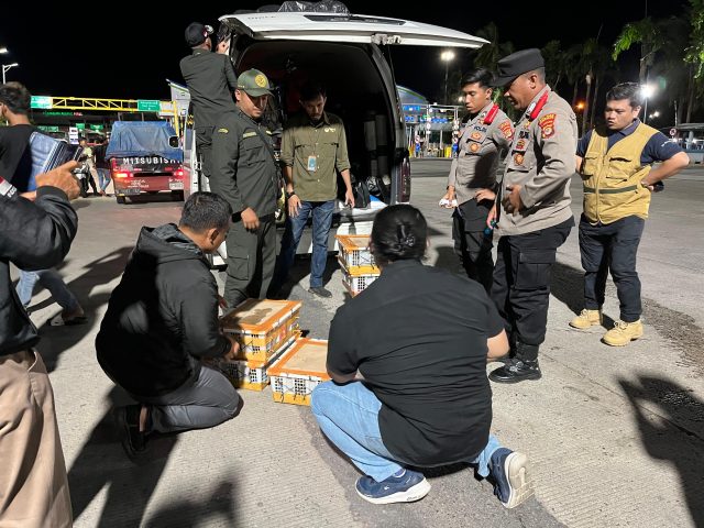 e7a809957cda4a7fb04411c39e07ac4c