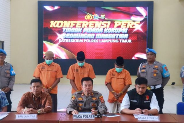 image_750x_69047cc14c697