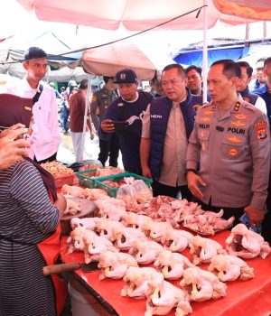Kapolda Lampung Tinjau Harga dan Ketersediaan Sembako di Pasar Pasir Gintung Jelang Idulfitr