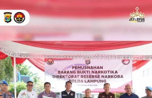 Ditresnarkoba Polda Lampung melakukan pemusnahan barang bukti narkotika