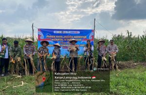 Kapolres Hadiri Panen Raya Jagung di Way Tuba, Dukung Ketahanan Pangan Nasional