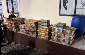 Bus dari Palembang Bawa 991 Burung Liar, Terhenti Saat Diperiksa di Bakauheni